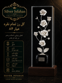گل نقره ۶ گل عیار ۸۴